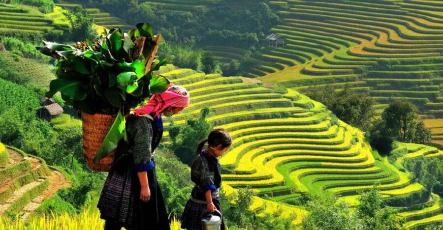 From Hanoi: 2-Day 2-Night Sapa Tour by Overnight Train - An In-Depth Look at the Sapa Experience