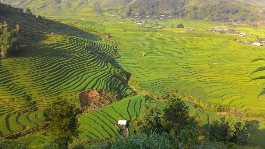 From Hanoi: 2 Day Sapa Trekking To Village & Bungalow, Meals - Final Thoughts on the Sapa 2-Day Trekking Tour
