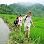 From Hanoi: 3-Day Sapa Trek Tour with Homestay and Fansipan - Who Should Consider This Tour?