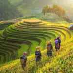 From Hanoi: 3-Day Sapa Trekking (sleep at hotel & homestay) - A Detailed Look at the 3-Day Sapa Trekking Experience