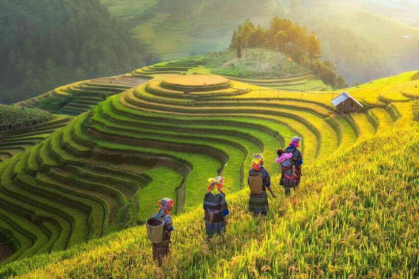 From Hanoi: 3-Day Sapa Trekking (sleep at hotel & homestay) - A Detailed Look at the 3-Day Sapa Trekking Experience
