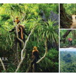 From Hanoi: Cat Ba Island 2-Day Tour with Trekking - Authentic Experiences in a Moderately Organized Setting