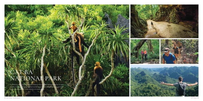 From Hanoi: Cat Ba Island 2-Day Tour with Trekking - Authentic Experiences in a Moderately Organized Setting