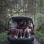 From Hanoi: Cat Ba Island- Lan Ha Bay Day Trip on Luxury Cruise - Why This Tour Works for You