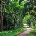 From Hanoi: Cuc Phuong National Park Day Trip by Private Car - Key Points