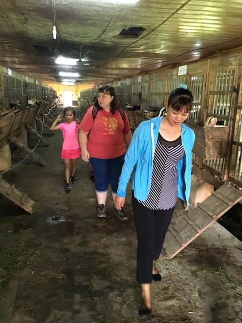 From Hanoi: Full-Day Authentic Vietnam Farming Tour - The Sum Up: Is It Worth It?