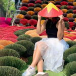 From Hanoi: Half-Day Tour to Incense & Hat Villages - Value and practical considerations
