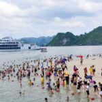 From Hanoi: Halong Bay 1 Day Trip Visit Cave, Island, Kayak - What’s Included and What’s Not