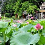 From Hanoi: Hoa Lu, Tam Coc, and Mua Cave Scenic Day Trip - What Makes This Tour Stand Out?