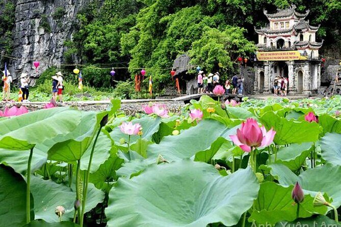 From Hanoi: Hoa Lu, Tam Coc, and Mua Cave Scenic Day Trip - What Makes This Tour Stand Out?