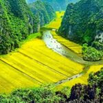 From Hanoi : Hoa Lu - Trang An and Mua Cave Full-Day Trip - An In-Depth Look at the Full-Day Tour