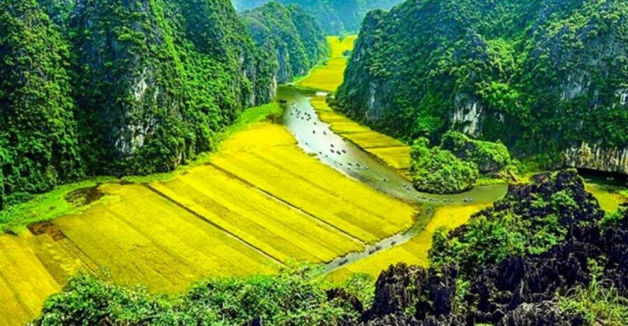 From Hanoi : Hoa Lu - Trang An and Mua Cave Full-Day Trip - An In-Depth Look at the Full-Day Tour