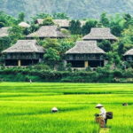 From Hanoi: Mai Chau Excursion 1 Day with Cycling and Lunch - A Day Trip from Hanoi into the Heart of Mai Chau