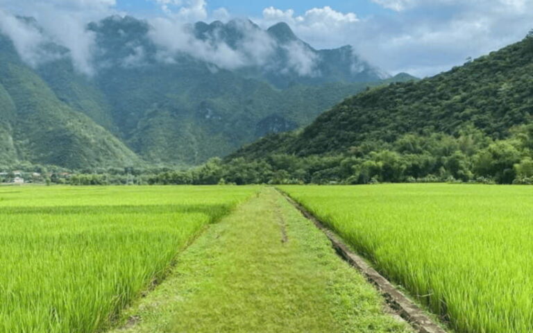From Hanoi: Mai Chau Full-day Biking Tour - An In-Depth Look at the Mai Chau Biking Tour