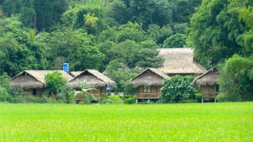 From Hanoi: Mai Chau, Pu Luong, Ninh Binh 3-Day Tour - Practical Details and Value