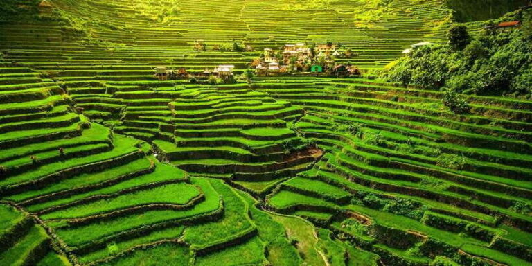 From Hanoi: Mai Chau Valley 2-Day Tour with Homestay - Who Will Benefit Most?