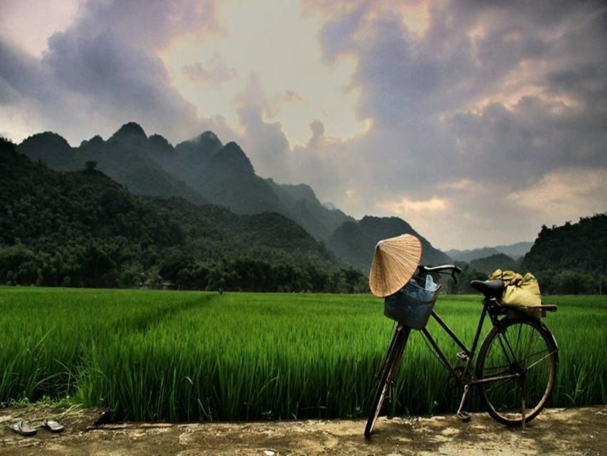From Hanoi: Mai Chau Valley & Hill Tribes 2-Day Trek Tour - Who Is This Tour Best For?