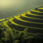 From Hanoi: Mu Cang Chai 3D2N trekking with local people - Why This Tour Offers Real Value