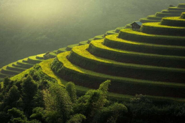 From Hanoi: Mu Cang Chai 3D2N trekking with local people - Why This Tour Offers Real Value