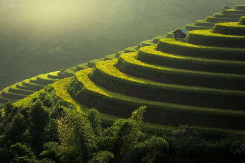 From Hanoi: Mu Cang Chai 3D2N trekking with local people - Why This Tour Offers Real Value