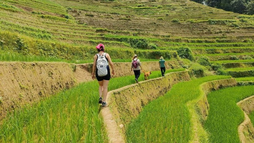 From Hanoi: Private 2-Day Mu Cang Chai Homestay & Trekking - A Detailed Look at the 2-Day Mu Cang Chai Tour