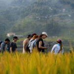 From Hanoi: Sapa 3-Day Trek with Culture and Cozy Bungalow - Who Should Consider This Tour?