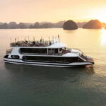 From Hanoi:Ha Long Bay Day Tour w/ Thien Cung Cave& Kayaking - Practical Considerations and Value