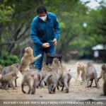 From Ho Chi Minh: Can Gio Mangrove Forest & Monkey Island - What Sets This Tour Apart?