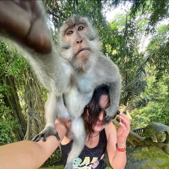 From Ho Chi Minh: Can Gio Mangrove Forest - The Sum Up