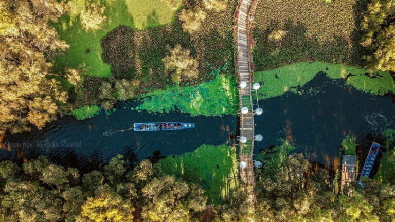 From Ho Chi Minh: Mekong Delta 3-day w Tra Su Forest - Practical Insights for Your Trip