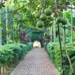 From Hue: 1 day COOKING CLASS IN THUY BIEU VILLAGE - The Journey Begins at Tòa Khâm and Ends Back There