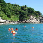 From Hue: Cham Island Boat Trip Full Day - Practical Tips and Considerations
