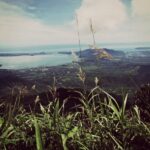 From Hue/Da Nang/Hoi An: Bach Ma National Park Trekking Tour - The Sum Up