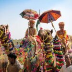 From Jaipur: One-Day Trip From Jaipur to Pushkar - What to Expect During the Day