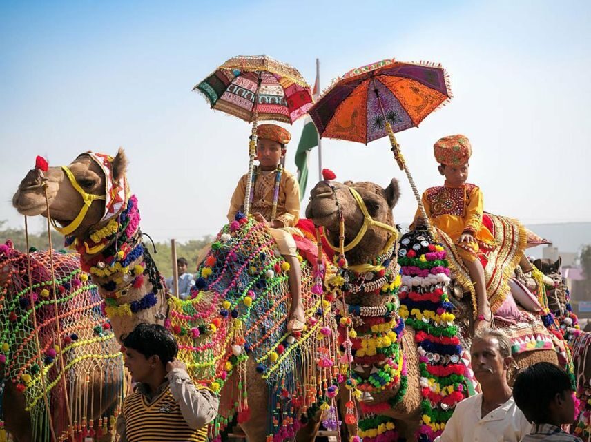 From Jaipur: One-Day Trip From Jaipur to Pushkar - What to Expect During the Day