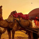 From Jaipur : Private Ajmer Pushkar Tour by Cab - Key Points