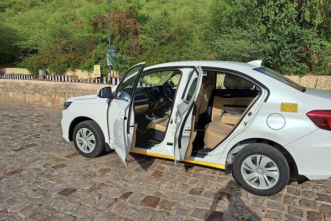 From Jaipur: Private Transfers Cab To Sawai Madhopur Hotel drop - Who is This Tour Best For?