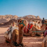 From Jaipur: Pushkar and Ajmer Private Day Trip - A Balanced Look at the Jaipur to Pushkar and Ajmer Day Trip