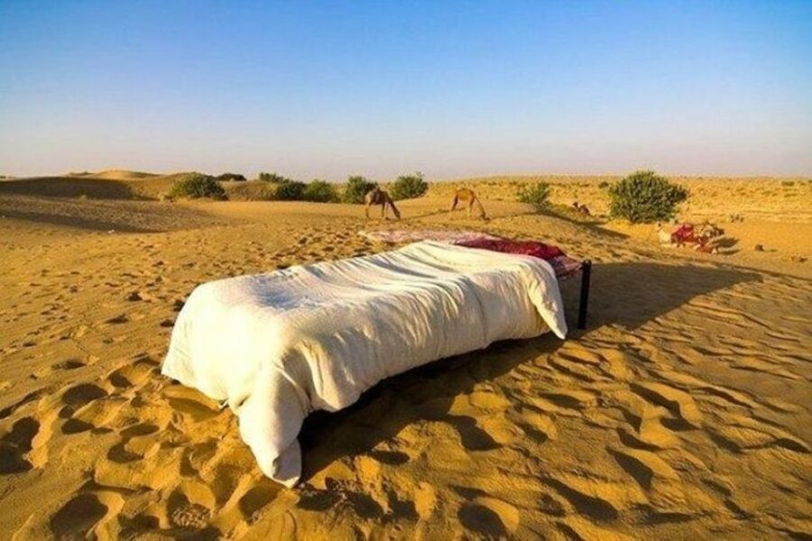 From Jaisalmer: Private Trip Under Stars with Camel Safari - An In-Depth Look at the Desert Safari Experience