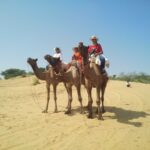 From Jodhpur: Guided Day Trip to Osian with Camel Safari - Why this tour offers great value