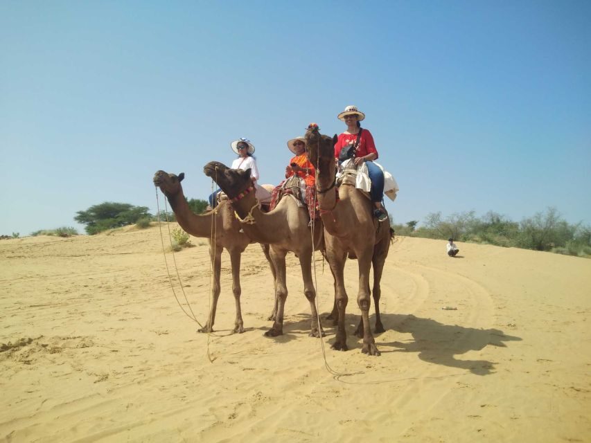 From Jodhpur: Guided Day Trip to Osian with Camel Safari - Why this tour offers great value