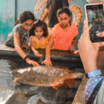 From Kalutara: Handungoda, Galle, and Kosgoda - The Sum Up: Who Should Consider This Tour?