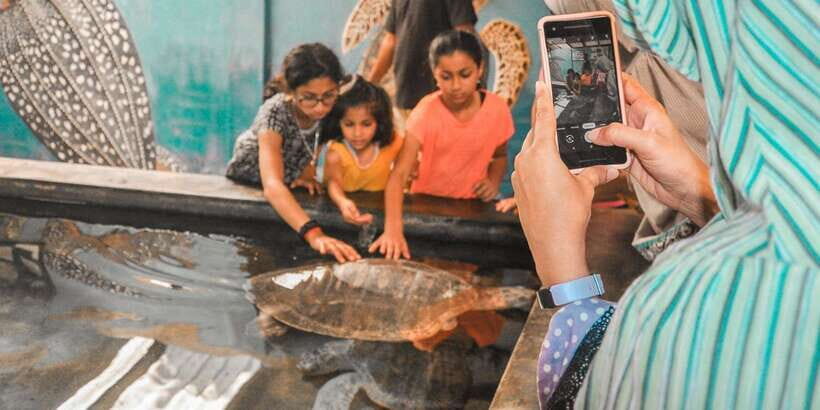 From Kalutara: Handungoda, Galle, and Kosgoda - The Sum Up: Who Should Consider This Tour?