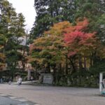 From Kanazawa: Eiheiji Buddhist Temple & Fukui Castle Town - Final Thoughts