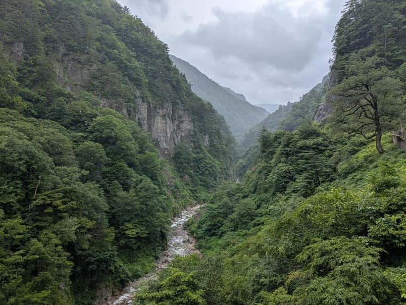 From Kanazawa: Hakusan White Road and Shirakawago Village - Exploring the Tour in Detail