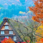 From Kanazawa/Takayama :Day Tour To Shirakawago & Takayama - Who Will Love This Tour?