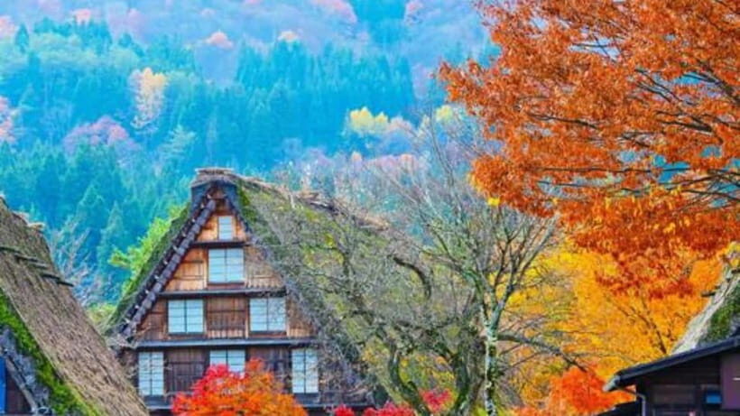 From Kanazawa/Takayama :Day Tour To Shirakawago & Takayama - Who Will Love This Tour?