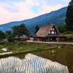 From Kanazawa: Tonami Tulip Festival and UNESCO Gokayama - Who Will Love This Tour?