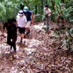 From Kandy: Bird watching tour to Udawatte Kele Sanctuary - Practical Details: What to Expect and Why It Matters