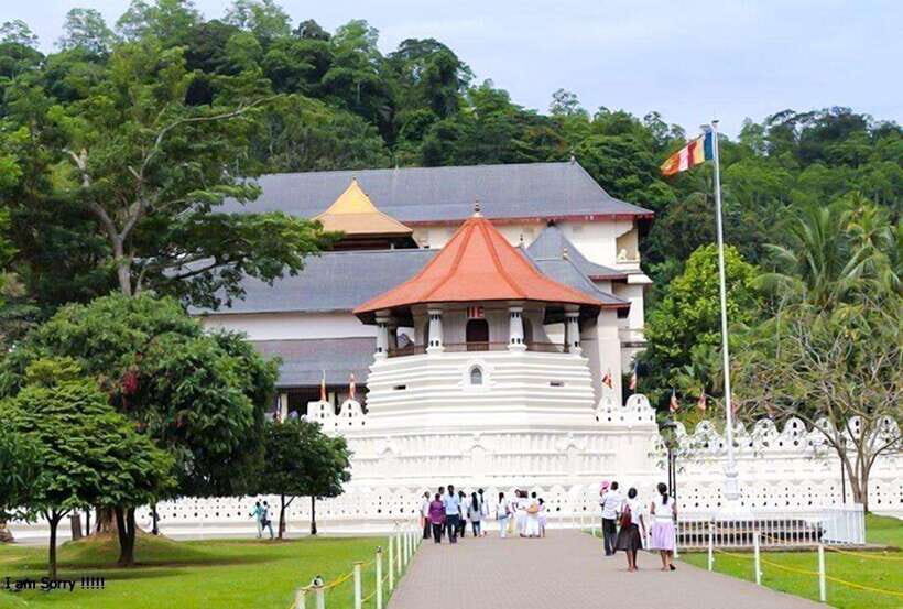 From Kandy: Full Day tour in Kandy with Ambuluwawa Tower - What to Expect from the Experience